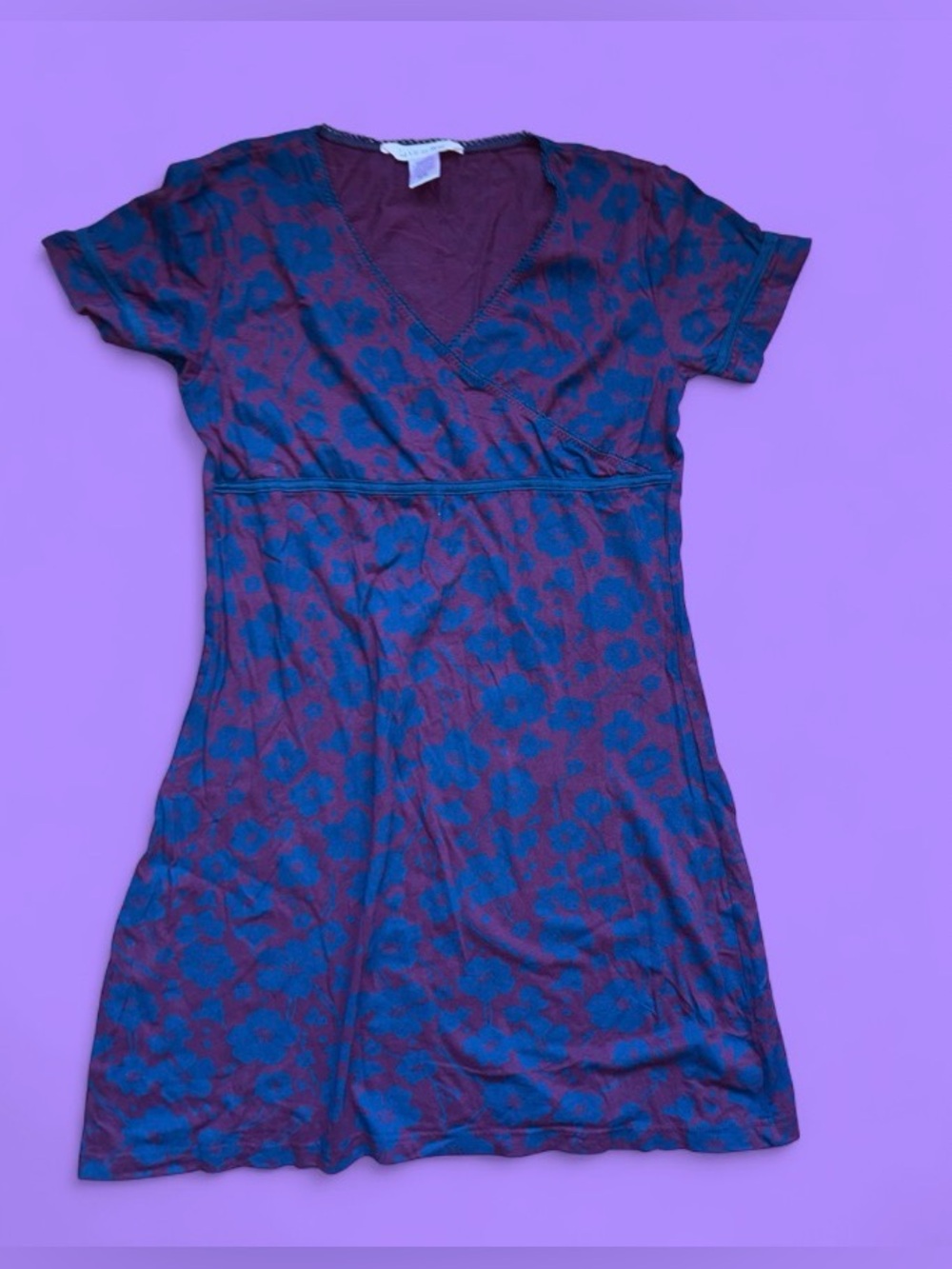 La Vie En Rose Plum Dress with Blue Floral Print